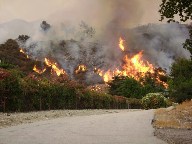 Station_Fire_LA.jpg